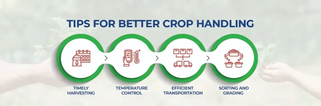 tips for better crop handling